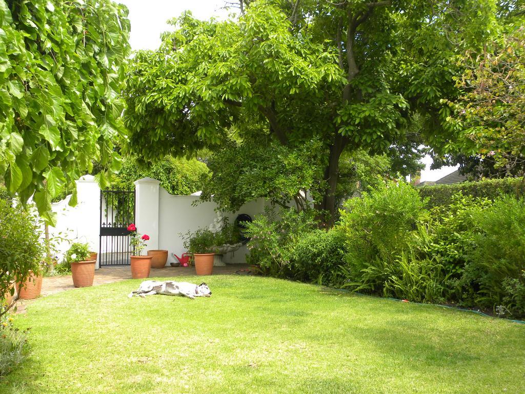 Applegarth B&B&Self-Catering Studios Ciudad del Cabo Exterior foto