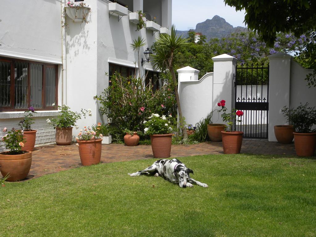 Applegarth B&B&Self-Catering Studios Ciudad del Cabo Exterior foto