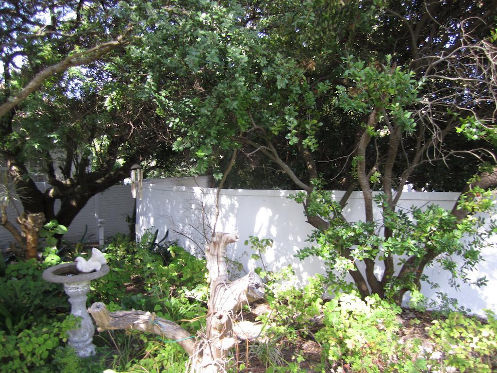 Applegarth B&B&Self-Catering Studios Ciudad del Cabo Exterior foto