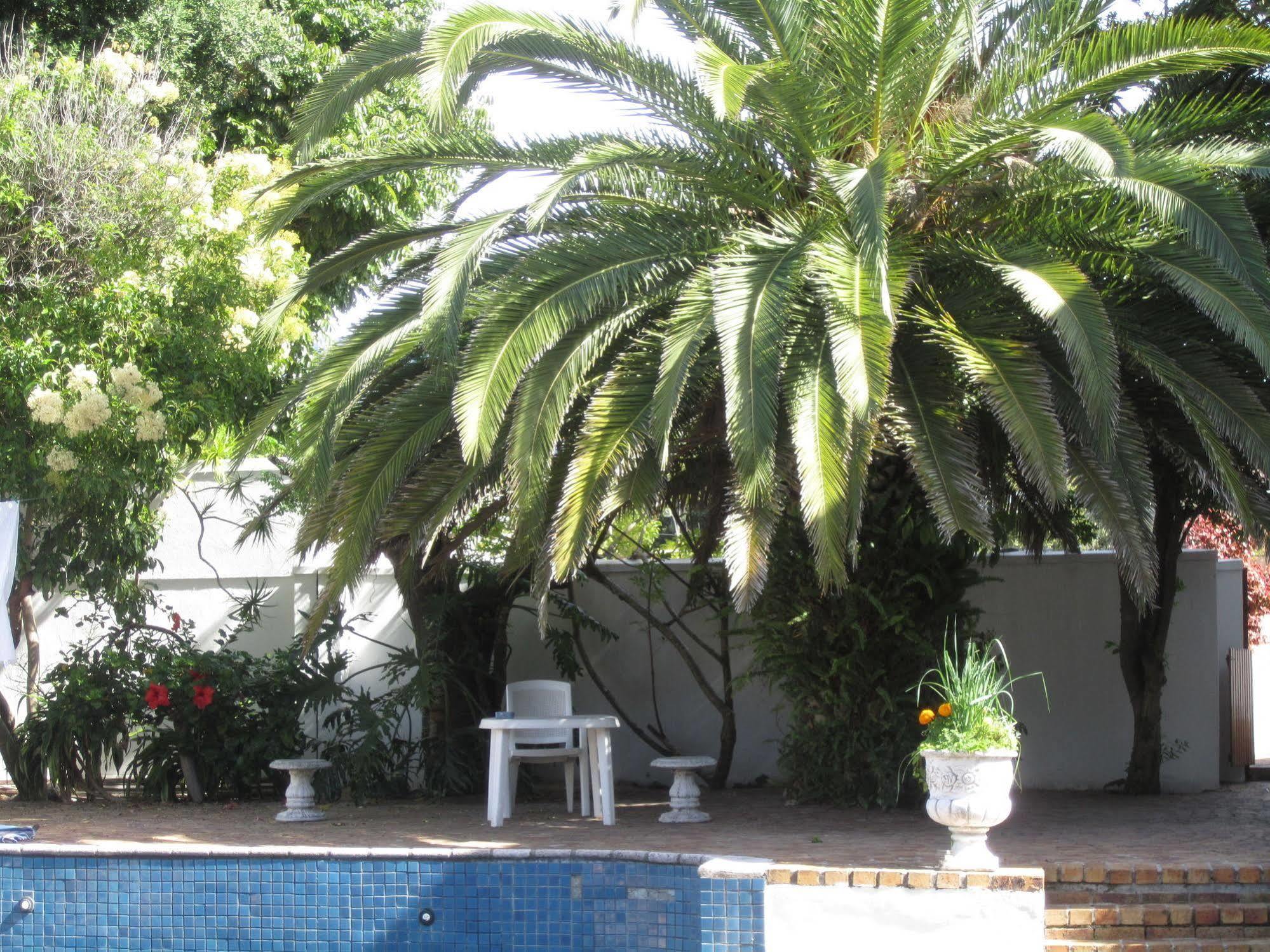 Applegarth B&B&Self-Catering Studios Ciudad del Cabo Exterior foto